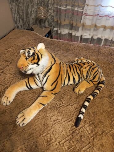 şalvar qız üçün: Pelenk unvan Gence seheri — 2