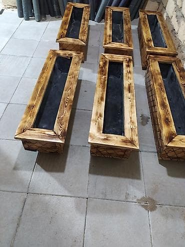 akvaryum bitkileri: Istediyniz sayda, ölçüde, görnüşde, boya rengi seçimide sergestdi, ve — 3