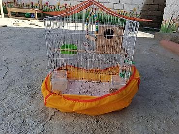 yuvasi: Qəfəs eni 40 hundurluk 50 Yuvasi var Bala Çixarmasi Uçun ✔️ Su qabi✔️ — 7