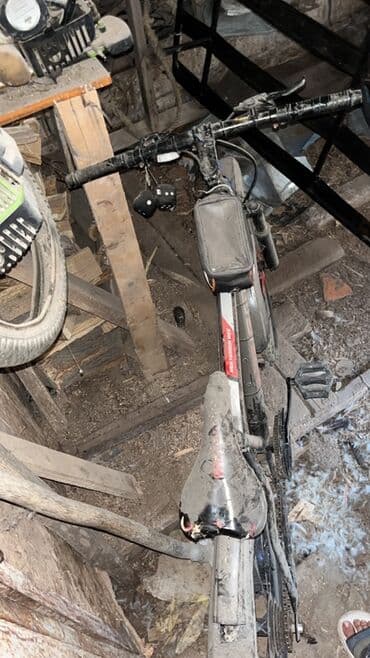 qız üçün velosipedlər: Dağ velosipedi Adidas, 24" — 2