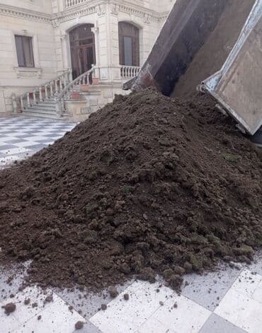 dibcək gulləri ev gulleri ve adlari: Torpaq, bağçılıq və ya tikinti işləri üçün yararlı ola bilər. Təmiz və — 5