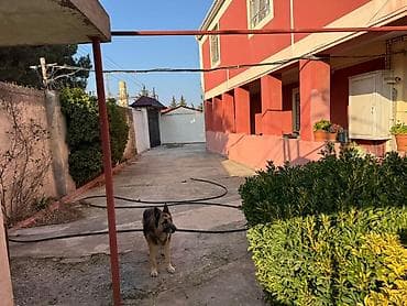 ramanada ucuz evler: Satılır: geniş həyət sahəsi və iki mərtəbəli ev - İki mərtəbəli — 9