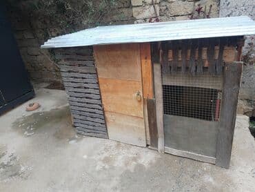 göyercin yuvası: Quşxana dekor taxtalardan yığılıb. Eni 1.08 uzunu 1.85 — 3