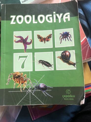 7 ci sinif fizika kitabı yüklə pdf: ⚠️əlaqə saxlamaq üçün whatsappa yazın
yazın⚠️ — 1