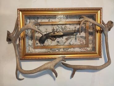 İşıqlandırma: Təbii Maral buynuzu satılır — 3