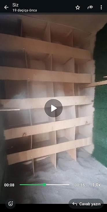 bulbul quşu: Hun 1.52 uzun 1.52 en 1.05 isteyen vap catda yazsin tecili satilir — 2