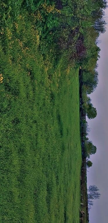 аренда земли под шиномонтаж: 10 соток Для сельского хозяйства, Газ, Электричество, Водопровод — 5