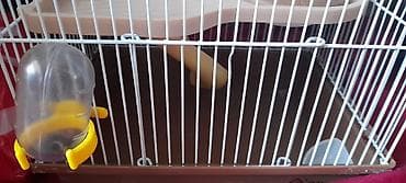 yem satisi: Hamster qəfəsi və aksesuar dəsti - Kiçik gəmiricilər üçün iki — 5