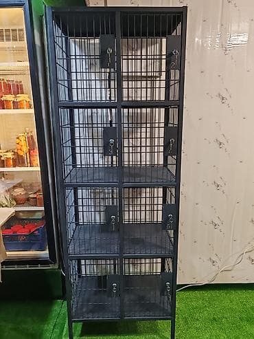 divar skafi: Magaza ucun metal vitrin 150 azn satilir‼️tezedir unvan bayil qesebesi — 1