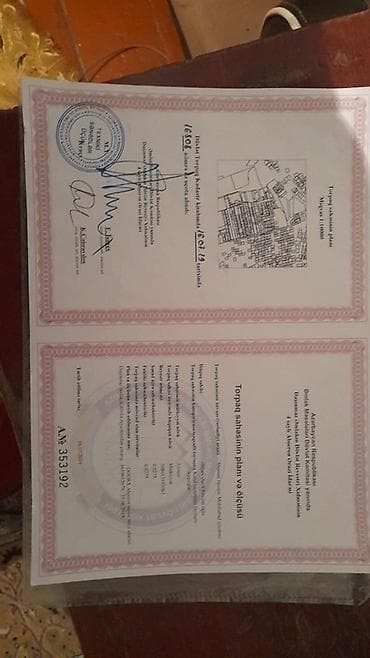 3 sot, Kənd təsərrüfatı, Kupça (Çıxarış)