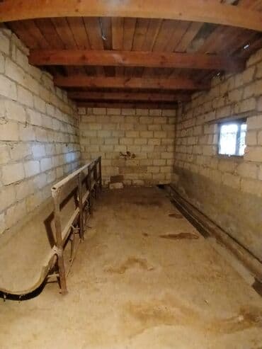 Otaqlar: Ferma təsərrüfatı üçün hazır təsərrüfat sahəsi və tikililər - — 9