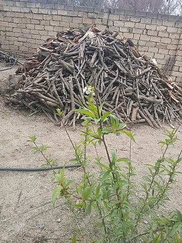 odun satılır: Odun – soba, kamin, manqal və samovar üçün - Quru halda doğranmış və — 4