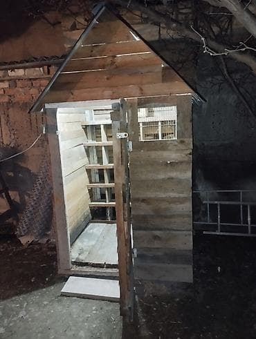 balaca sirin itler: Yuva satilir reyal alçı yasin vatsabma — 4