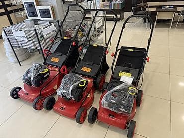 аренда бензокосилки: Бензиновый Газонокосилка — 1