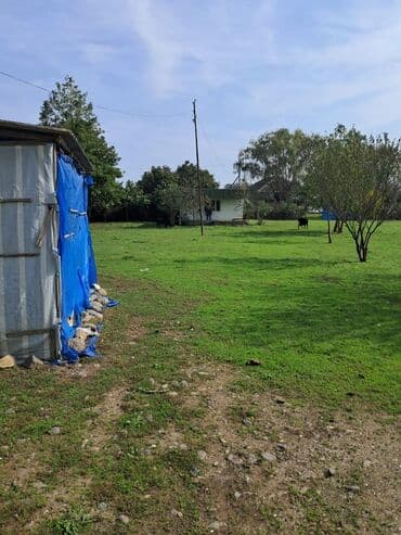 bağ evi satışı: Kənd təsərrüfatı — 10