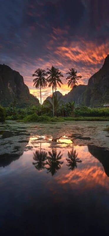 15 pro irşad: Samsung Galaxy A3 2017, 16 GB, rəng - Qızılı, Sensor — 2