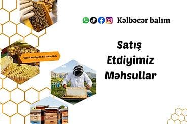 bal arısı satışı: 🍯✅ Yüksək keyfiyyətli Kəlbəcər balının və arı məhsullarının tək — 2