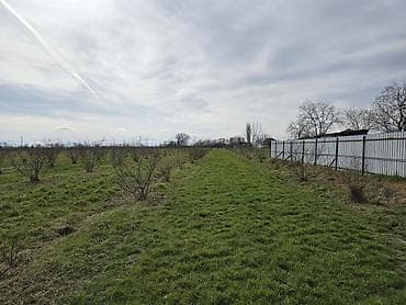 hovuzlu bağ evi: Kənd təsərrüfatı, Texniki pasport — 5