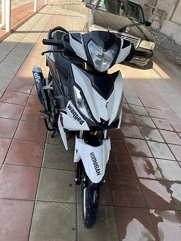 reno senik 2: Tufan - s50, 2024 год, 14000 км — 3