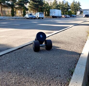 natiq vahidov 9 cu sinif pdf: Plastik Qantellər — 8