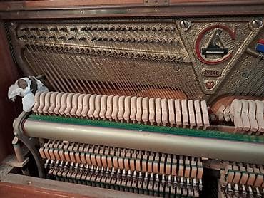 Velosiped aksesuarları: Piano, Akustik — 5