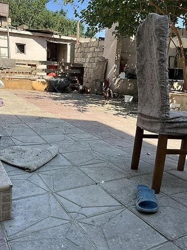 bala itlerin satisi: Xoruz, il: 2, Ünvandan götürmə, Ödənişli çatdırılma — 5