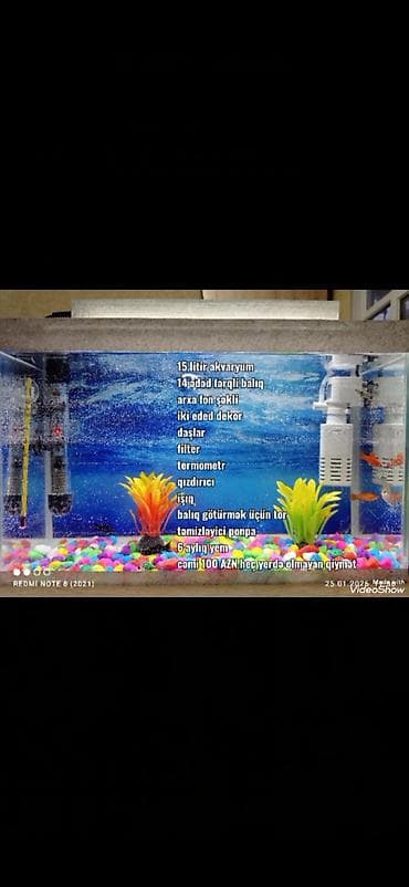 Akvaryum dəsti – 15 litr Komplekt: - 15 litrlik akvaryum - 14 ədəd