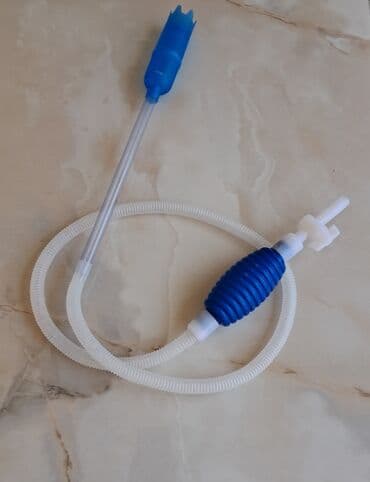 Akvarium su şılankı,böyükdendi