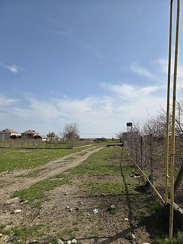 turkanda bag evleri 2018: Məhsul: Hasarlı bağ sahəsi və təsərrüfat infrastrukturu Təsvir: - — 6