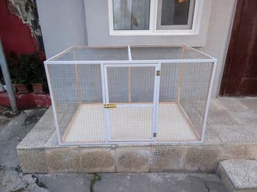 ag dovsan: Papuqay,dovşan,hamster,şinşila,bildirçin,cücə,xamyak,pişik,quş,tısbağa — 2