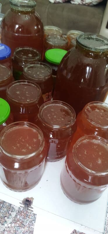 дистиллированная вода баку: 100%Temiz ZAQATALA may, çokek dağ BALI satilir, isteyen olsa, elaqe — 2