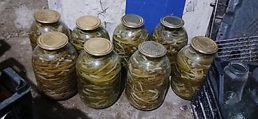 Digər qida məhsulları: Xelyer tursu 3 kloyluqu 20Manat Təsvir: - Şüşə bankalarda (təxminən — 1