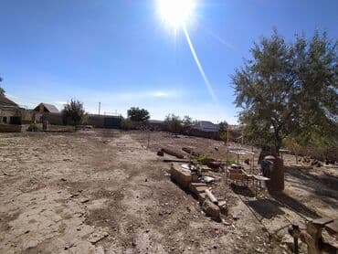 şıxovda torpaq sahəsi: 6 sot, Kənd təsərrüfatı, Kupça (Çıxarış) — 2