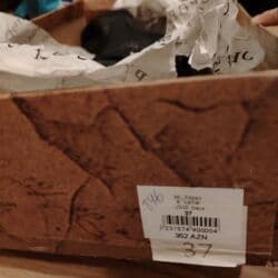 botlar: 360 azn alinib temiz deridi poppy firmasinindi 50azn ə satılır — 4