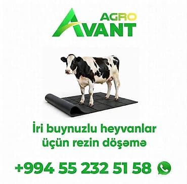 İri buynuzlu heyvanlar üçün rezin döşəmə - Ferma və tövlələr üçün