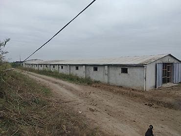 ulduzda kirayə evlər: Ferma mal bazarina bir kilometr mesafede yerlesirqarabag su — 10