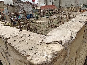 villa insaat mmc: Tikinti — 5