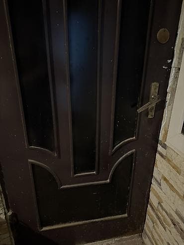 Lesa: Dəmir giriş qapısı - Material: qalın metal konstruksiya - Rəng: tünd — 3