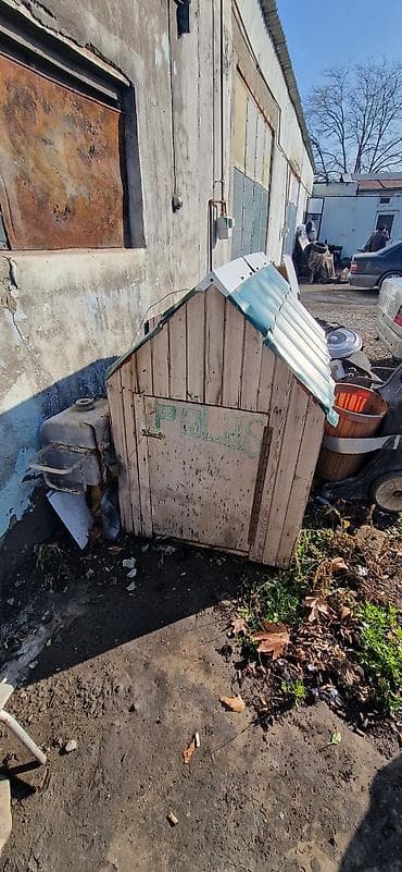 barter heyvanlar: Taxta it evi - Material: taxta karkas, üzəri rəngli metal/profilli — 2