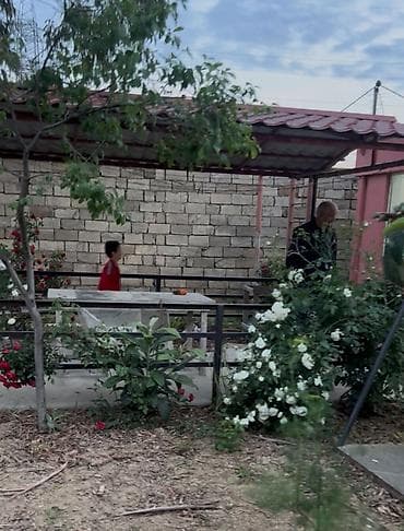 bide: Heyet ve bag ucun keyfiyetli matreallardab gazirlanmiw hazir — 1