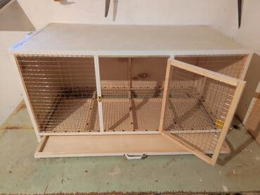 quş qəfəs: Papuqay,dovşan,hamster,şinşila,bildirçin,cücə,xamyak,pişik,quş,tısbağa — 5