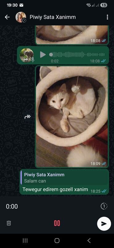 pisik yuvalari: Ünvandan götürmə — 4