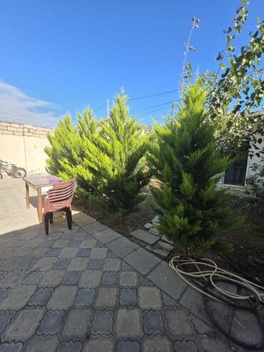 bina az kirayə: Satılır: həyət evi - Geniş, işıqlı mətbəx: üst- və alt şkaflar — 4