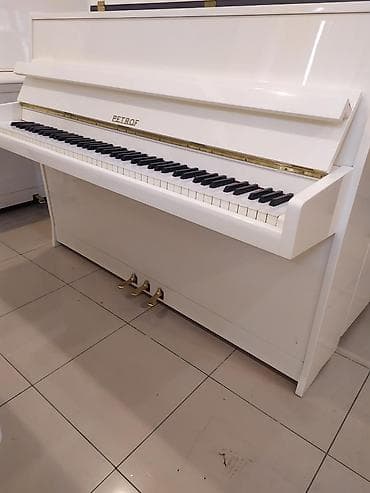 Musiqi alətləri: Pianino — 2