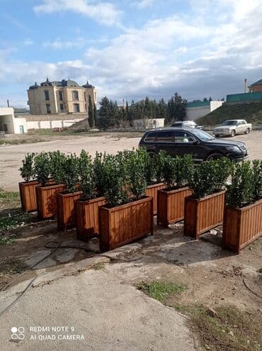 yeddi gozel gulu haqqinda: ♦️Endrim 2025 ▶️İstenilən modeldə dipçəklər hazırlanır. 🌈İstənilən — 2