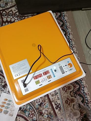 İnkubatorlar: Tam avtomatik yumurta inkubatorları 120 ve 30 yerlik.ikisin goturene — 1