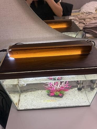 Digər heyvanlar: Akvaryum dəsti – şüşə akvarium və avadanlıqlar - Ölçü: təxminən orta — 2