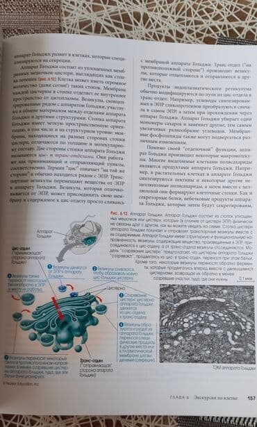 rustemov fizika kitabi pdf: Biologiya sahəsində tamamilə yeni müasir kitab, 2 cild, sərt üzlü — 5