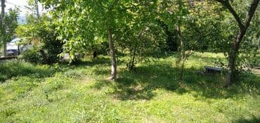 объявления о продаже земельных участков: 10 соток, Для сельского хозяйства — 5