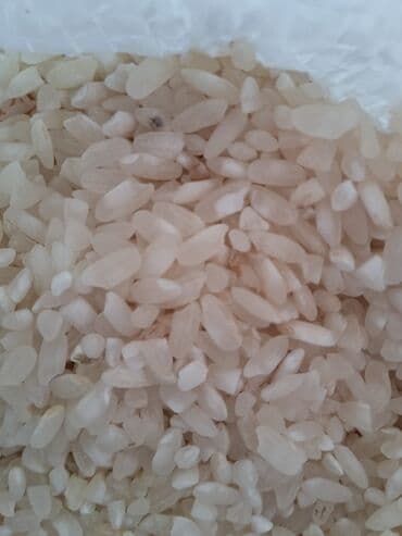 findiq lepesi qiymeti: Yeri yumuru düyü kubresiz qiymeti 1.80 — 2